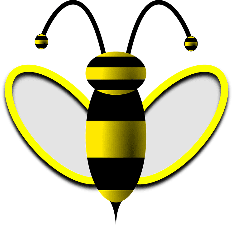 Bees Clipart Summer - Drone Bee Transparent PNG - 748x720 - Free Download on - Transparent PNG Free Download | PNGio