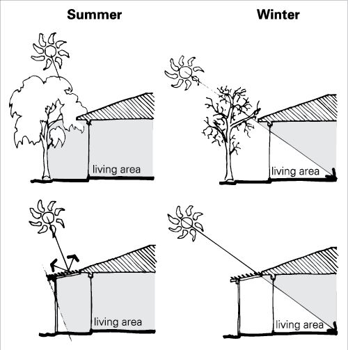 A Deciduous Tree Near The Living Area Of A House Provides - Design Strategies For Hot And Dry Climate Transparent PNG - 500x503 - Free Download on - Transparent PNG Free Download | PNGio