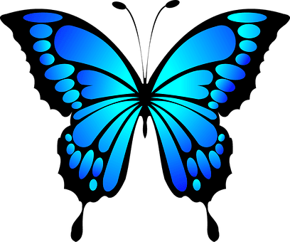 Butterfly Blue Insect Summer Wings Butterf - Blue Butterfly Transparent PNG - 408x340 - Free Download on - Transparent PNG Free Download | PNGio