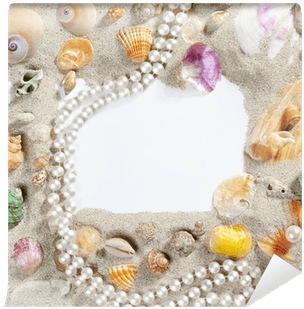 Border Frame Summer Beach Shell Pearl Necklace Wall - Necklace Transparent PNG - 400x400 - Free Download on - Transparent PNG Free Download | PNGio