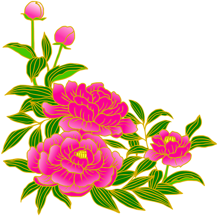 Peony, Pink, Gay, Flowers, Summer, Japanese Style - 芍薬 の 花 イラスト Transparent PNG - 720x720 - Free Download on - Transparent PNG Free Download | PNGio