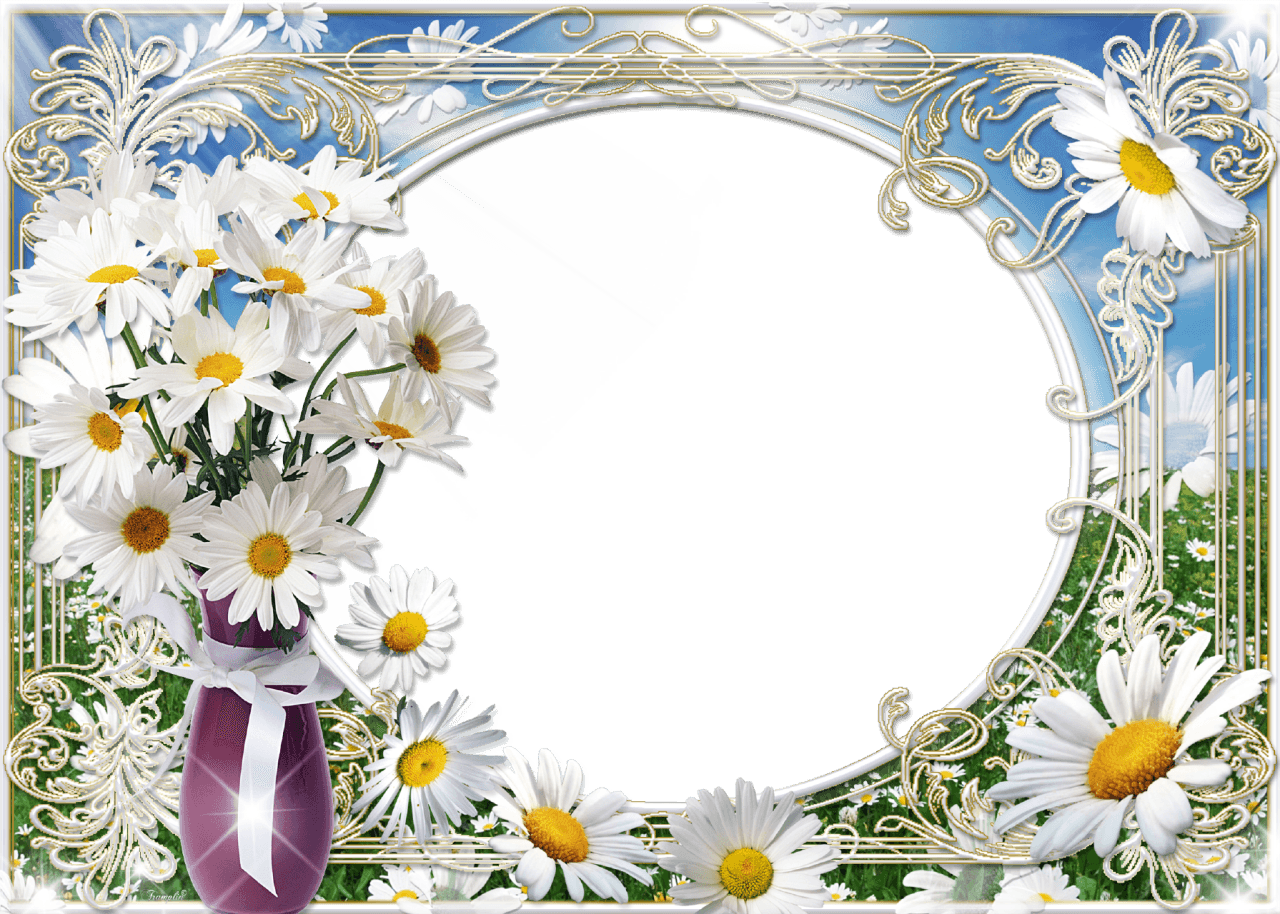 Summer Photo Frame Bouquet Of Daisies - Natural Wellness Strategies For Pregnancy By Laurel Transparent PNG - 1280x914 - Free Download on - Transparent PNG Free Download | PNGio