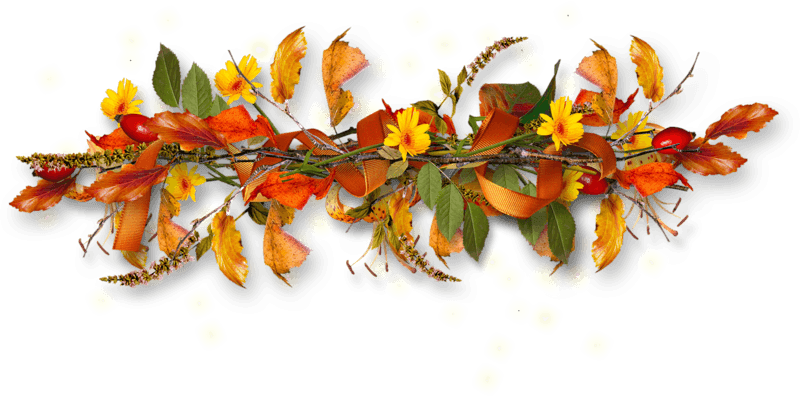 Good Morning To All The Readers Of Golos - Petite Fleur D Automne Transparent PNG - 800x397 - Free Download on - Transparent PNG Free Download | PNGio
