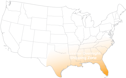 Is It Summer Are You In A Southern State Select Our - Sketch Transparent PNG - 500x310 - Free Download on - Transparent PNG Free Download | PNGio