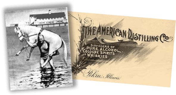Every Summer An Annual Whiskeydaddle Festival Was Held - Stallion Transparent PNG - 611x346 - Free Download on - Transparent PNG Free Download | PNGio