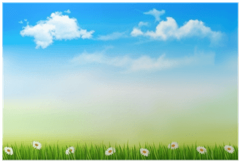 Summer Nature Background With Green Grass And Sky - Grass Transparent PNG - 400x400 - Free Download on - Transparent PNG Free Download | PNGio