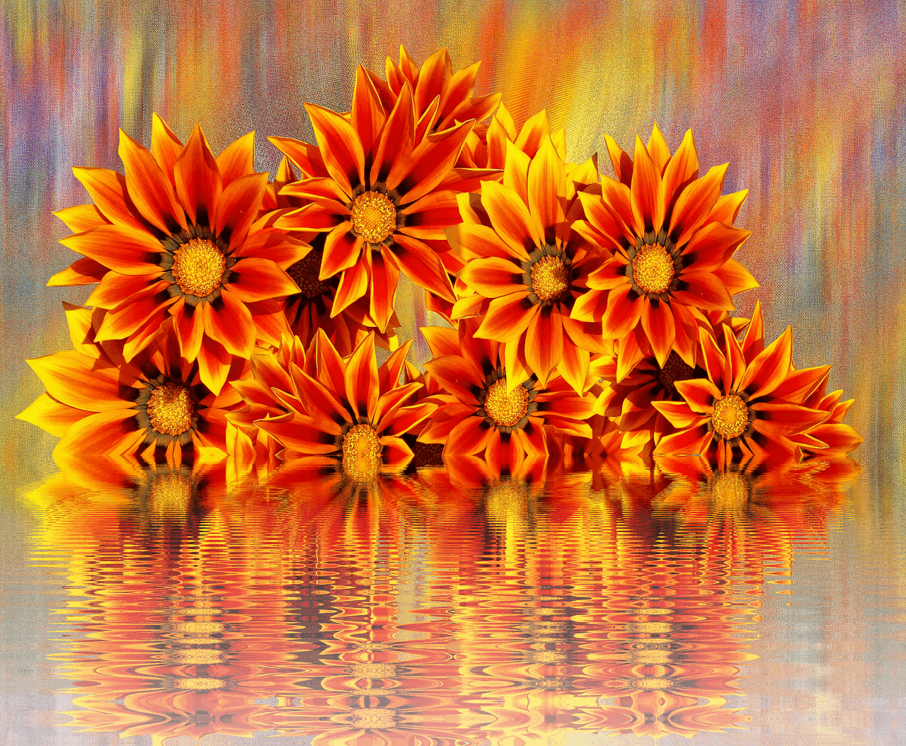 Pictures, Free Photos, Transparent PNG - 1280x1054 - Free Download on - Transparent PNG Free Download | PNGio