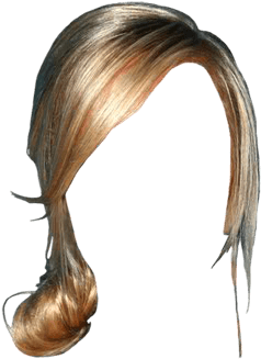Summer Rae Long Straight Formal Updo Hairstyle With - Sketch Transparent PNG - 521x625 - Free Download on - Transparent PNG Free Download | PNGio