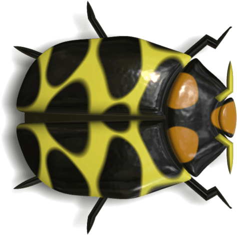 Ladybird Beetle Transparent PNG - 500x500 - Free Download on - Transparent PNG Free Download | PNGio