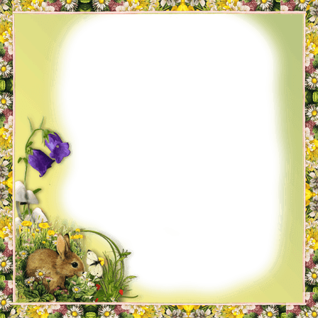 Memories Of Summer With A Pretty Photo Frame - Picture Frame Transparent PNG - 448x448 - Free Download on - Transparent PNG Free Download | PNGio