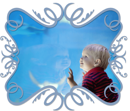Fun And Free Things To Do With Baby In North Texas - Infant Transparent PNG - 514x438 - Free Download on - Transparent PNG Free Download | PNGio