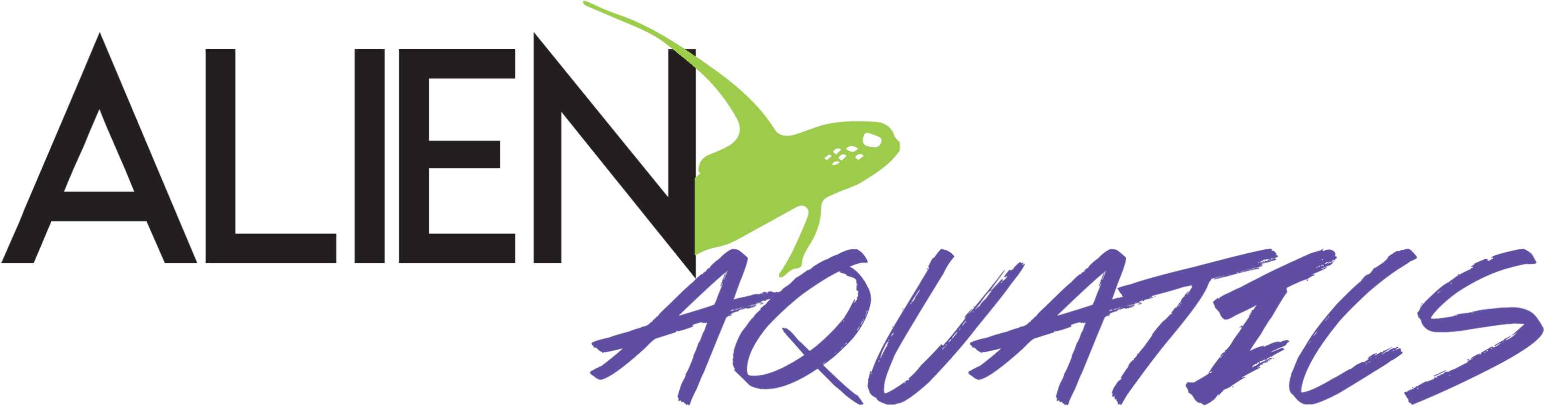 Tumblr Summer Banners Tropical Banners Mtm Png Tumblr Transparent PNG - 3125x909 - Free Download on - Transparent PNG Free Download | PNGio