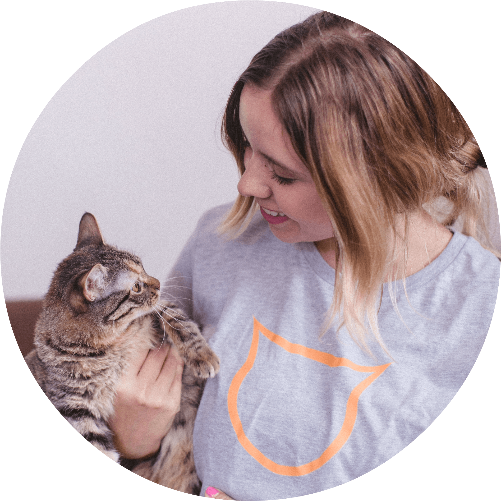 Really, Really Hot - Tabby Cat Transparent PNG - 2262x2238 - Free Download on - Transparent PNG Free Download | PNGio