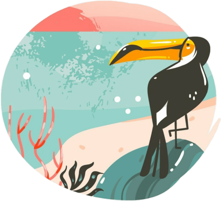 Freetoedit Ftesticker Tucan Summer Summervibes Beach - Illustration Transparent PNG - 1024x902 - Free Download on - Transparent PNG Free Download | PNGio