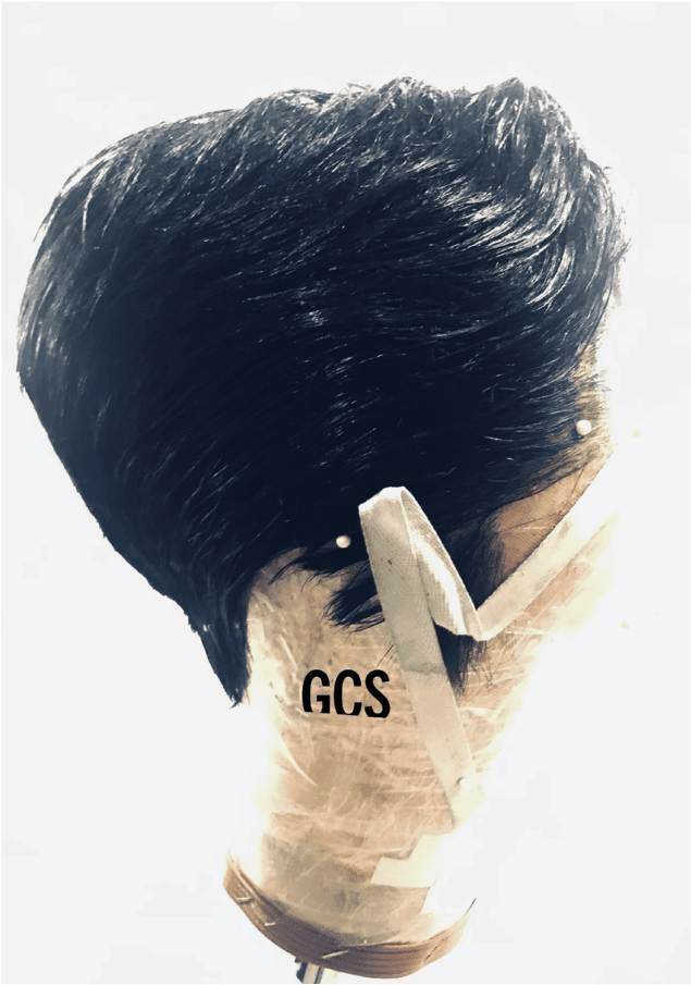 Donna Summer The Musical, Broadway Transparent PNG - 700x986 - Free Download on - Transparent PNG Free Download | PNGio