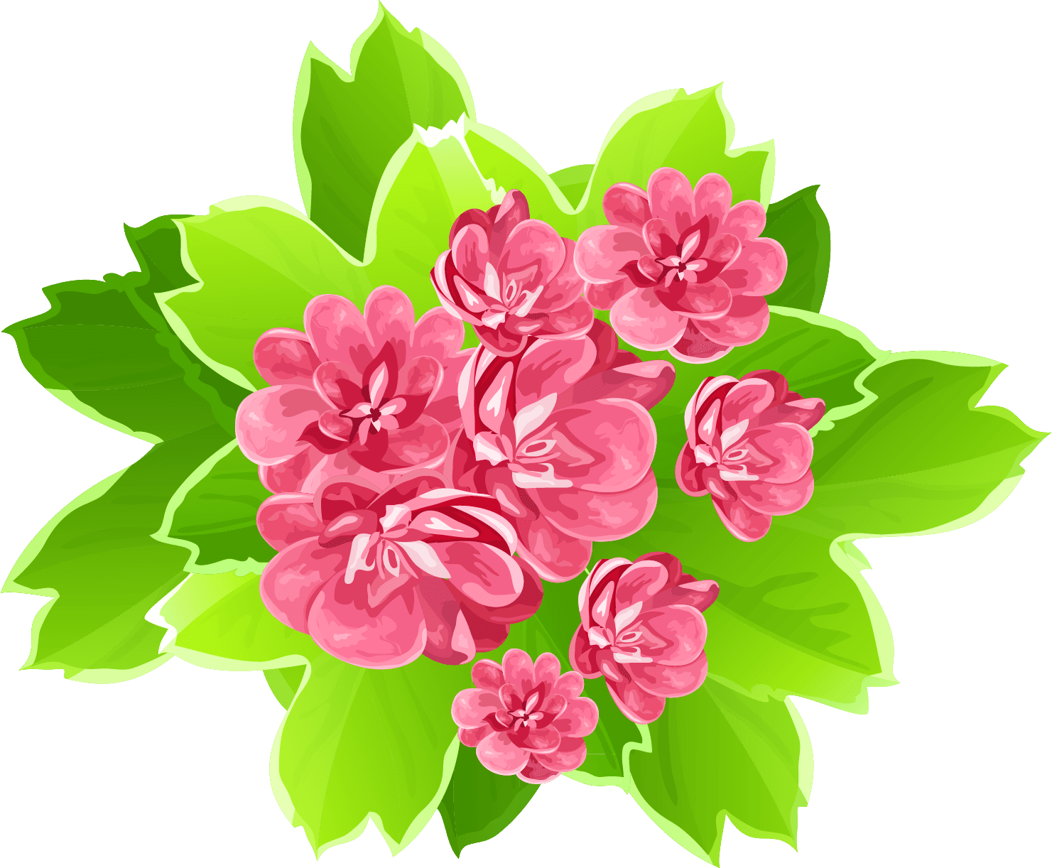 Gorgeus Clipart Summer Flower - Beautiful Flower Clipart Png Transparent PNG - 1481x1222 - Free Download on - Transparent PNG Free Download | PNGio