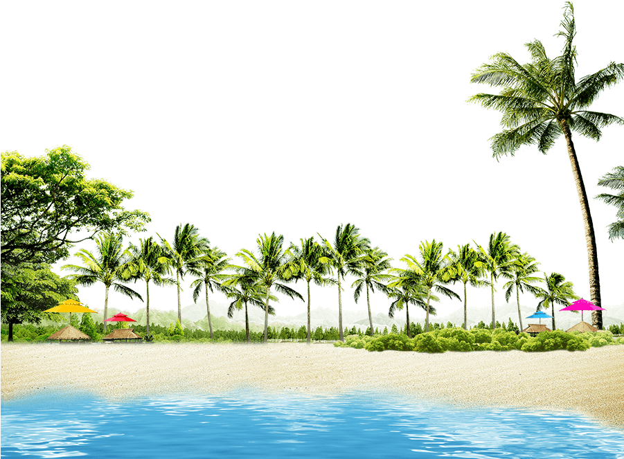 Beach With Coconut Palms And Summer Huts - Coconut Tree Border Png Transparent PNG - 900x771 - Free Download on - Transparent PNG Free Download | PNGio
