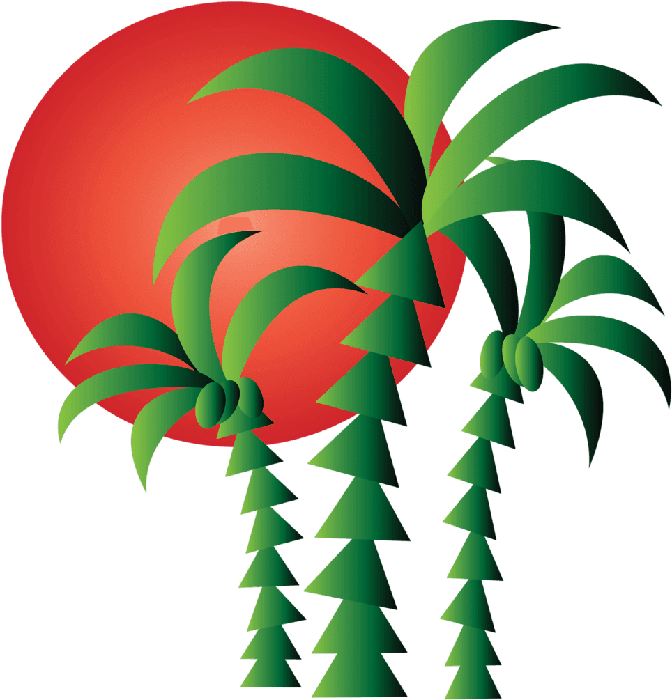 Png Pinterest Summer And Album Ⓒ - Tree Vector Free Download Transparent PNG - 1024x1024 - Free Download on - Transparent PNG Free Download | PNGio