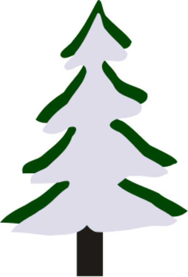 Pine Tree In Winter - Winter Tree Clipart Small - Free Transparent PNG Clipart Images Download. - Transparent PNG Free Download | PNGio