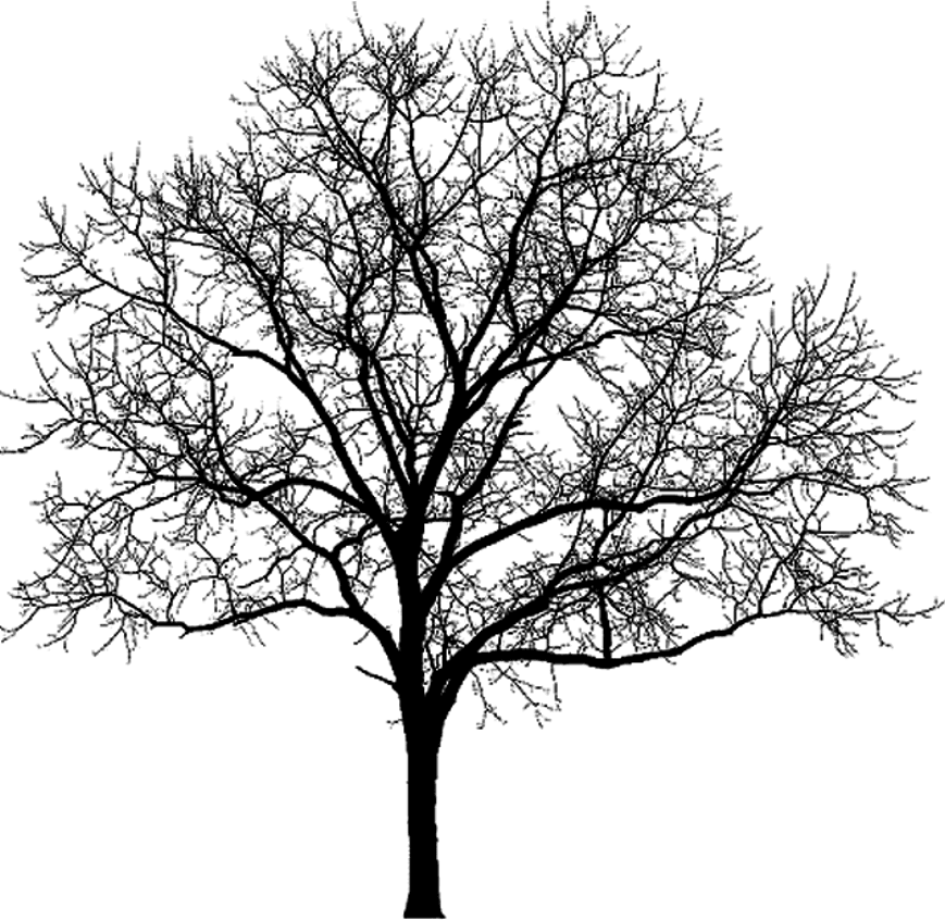 More Artists Like Stock - Winter Tree Silhouette Png - Free Transparent PNG Clipart Images Download. - Transparent PNG Free Download | PNGio