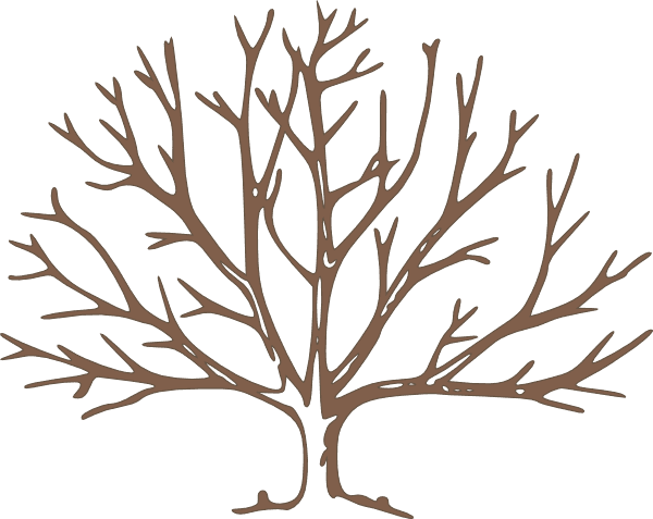 Brown Bare Tree Clip Art - Draw A Winter Tree - Free Transparent PNG Clipart Images Download. - Transparent PNG Free Download | PNGio