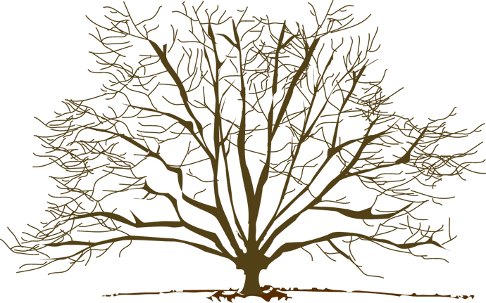 Winter Tree Free Clip Art - Winter Tree Clip Art - Free Transparent PNG Clipart Images Download. - Transparent PNG Free Download | PNGio