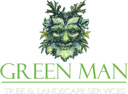 Tree Removal, Tree Care, Arborist, Waukesha, Milwaukee - Winter Solstice Greeting Card - Free Transparent PNG Clipart Images Download. - Transparent PNG Free Download | PNGio