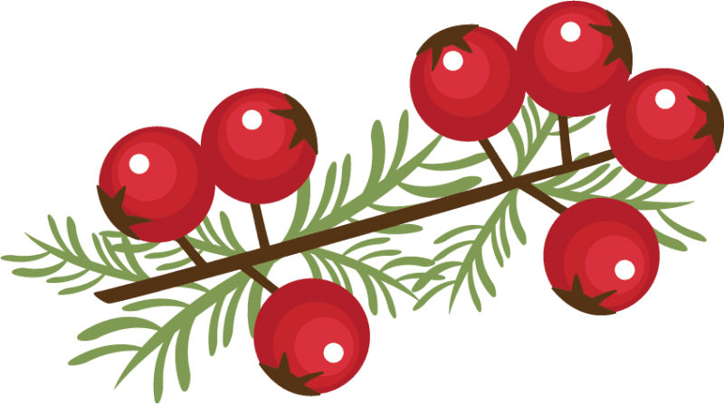Holley Clipart Winter - Christmas Berries Clip Art - Free Transparent PNG Clipart Images Download. - Transparent PNG Free Download | PNGio