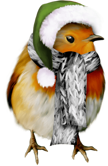 Winter Bird Clip Art - Pre-cut Winter Robin Edible Rice / Wafer Paper Cupcake - Free Transparent PNG Clipart Images Download. - Transparent PNG Free Download | PNGio