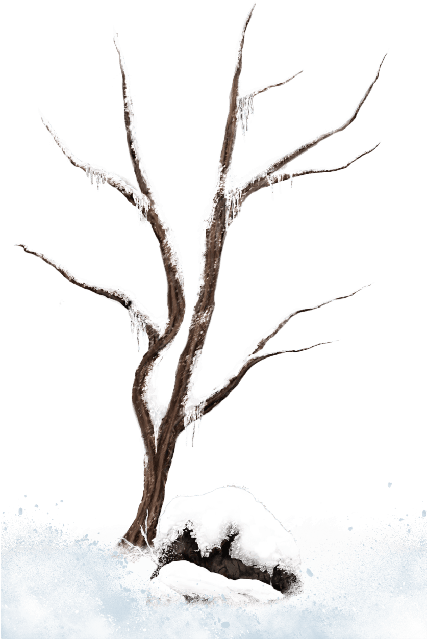 Winter Tree Branches Clip Art Clipart Free Download - Snow - Free Transparent PNG Clipart Images Download. - Transparent PNG Free Download | PNGio