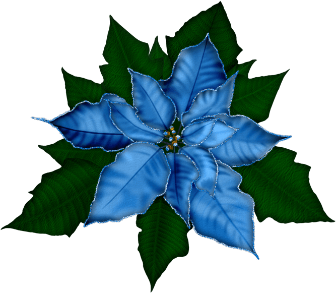 Fantasy Moments ~ Winter Impressions - Flores Navideños - Free Transparent PNG Clipart Images Download. - Transparent PNG Free Download | PNGio