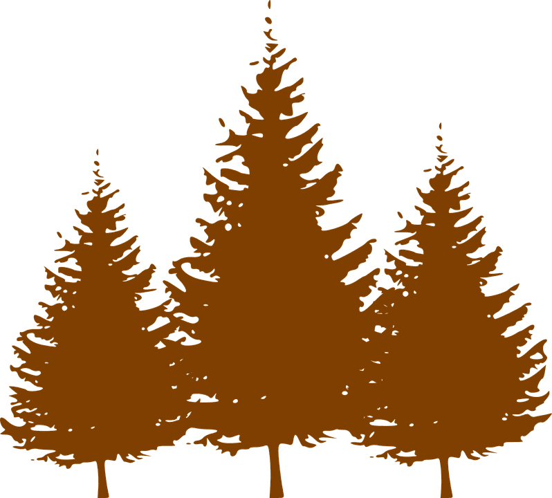 Winter Trees Cliparts 28, - Pine Tree Silhouette Vector - Free Transparent PNG Clipart Images Download. - Transparent PNG Free Download | PNGio