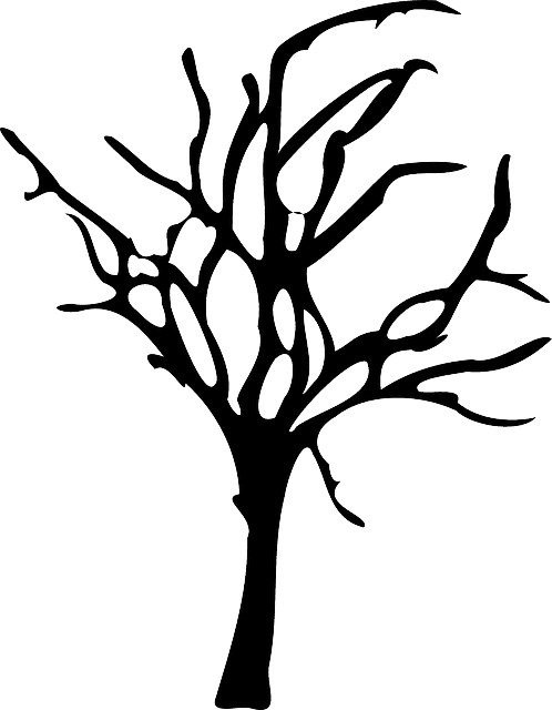 Winter Forest Decline, Forest Dieback, Tree, Dead, - Spooky Tree Silhouette Png - Free Transparent PNG Clipart Images Download. - Transparent PNG Free Download | PNGio