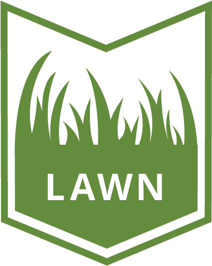 Your Grass Is Waking Up After A Long, Cold Winter And - Your Grass Is Waking Up After A Long, Cold Winter And - Free Transparent PNG Clipart Images Download. - Transparent PNG Free Download | PNGio