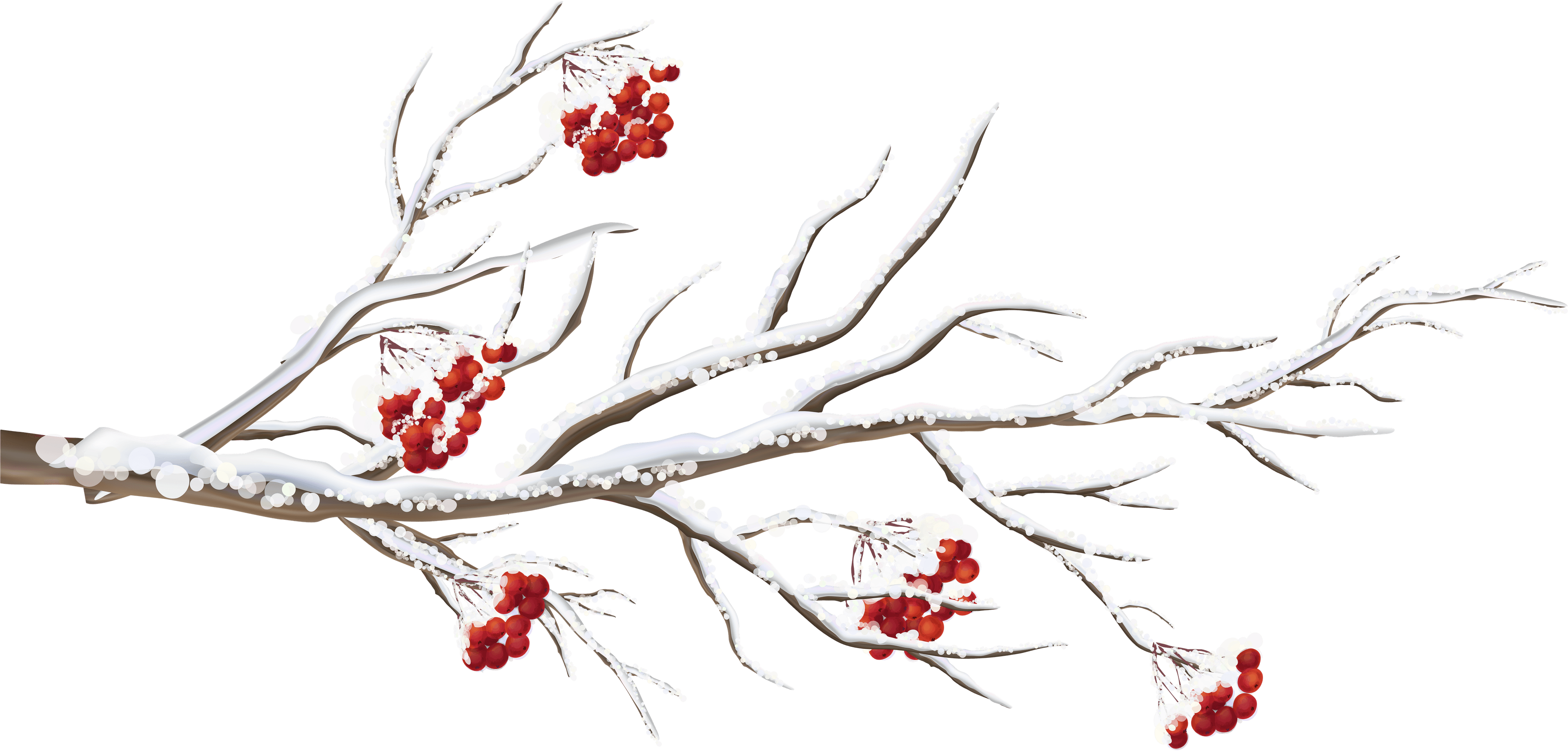Winter Branch Png Clip Art Image - Wintry Cardinals Small Boxed Holiday Cards - Free Transparent PNG Clipart Images Download. - Transparent PNG Free Download | PNGio