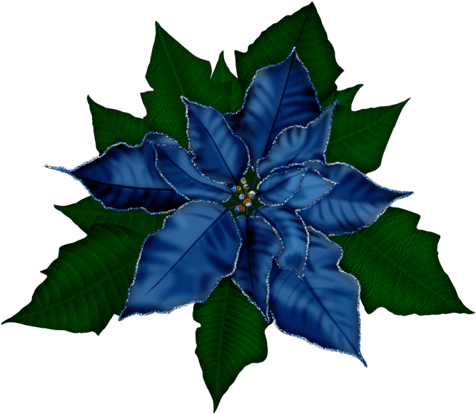 Fantasy Moments ~ Winter Impressions - Flores Navideños - Free Transparent PNG Clipart Images Download. - Transparent PNG Free Download | PNGio