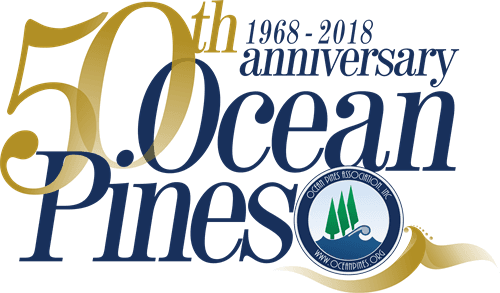 Ocean Pines 50th Anniversary Winter Ball Transparent PNG - 500x293 - Free Download on - Transparent PNG Free Download | PNGio