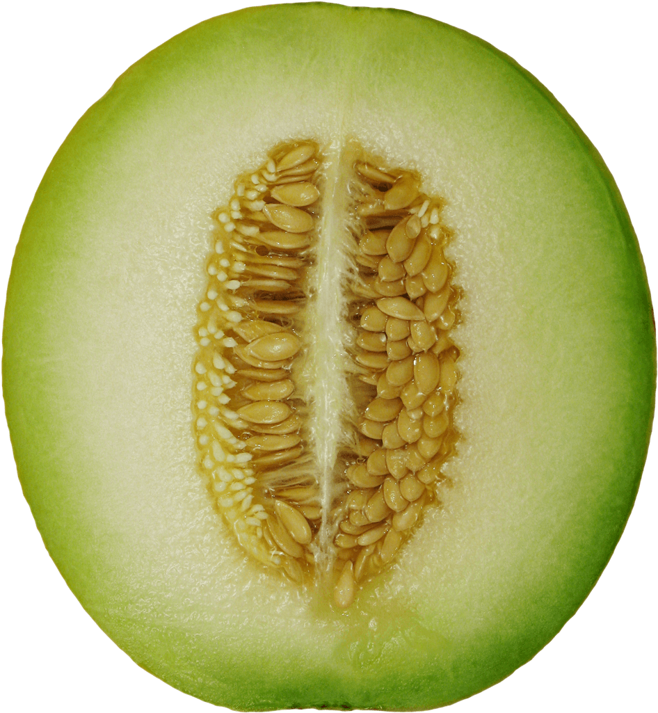 Winter Melon Png Image - Winter Melon Png Transparent PNG - 1017x1088 - Free Download on - Transparent PNG Free Download | PNGio