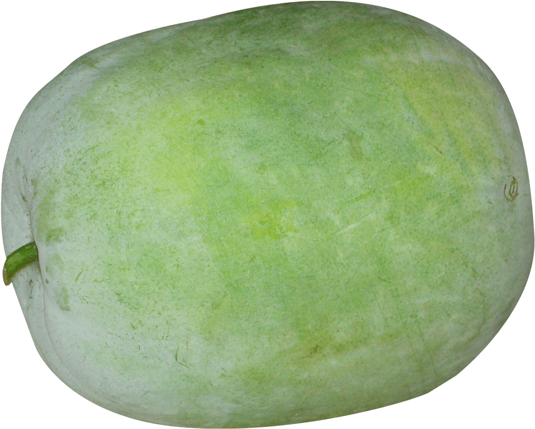 Giant Winter Melon Png Image - Winter Melon Png Transparent PNG - 1153x931 - Free Download on - Transparent PNG Free Download | PNGio