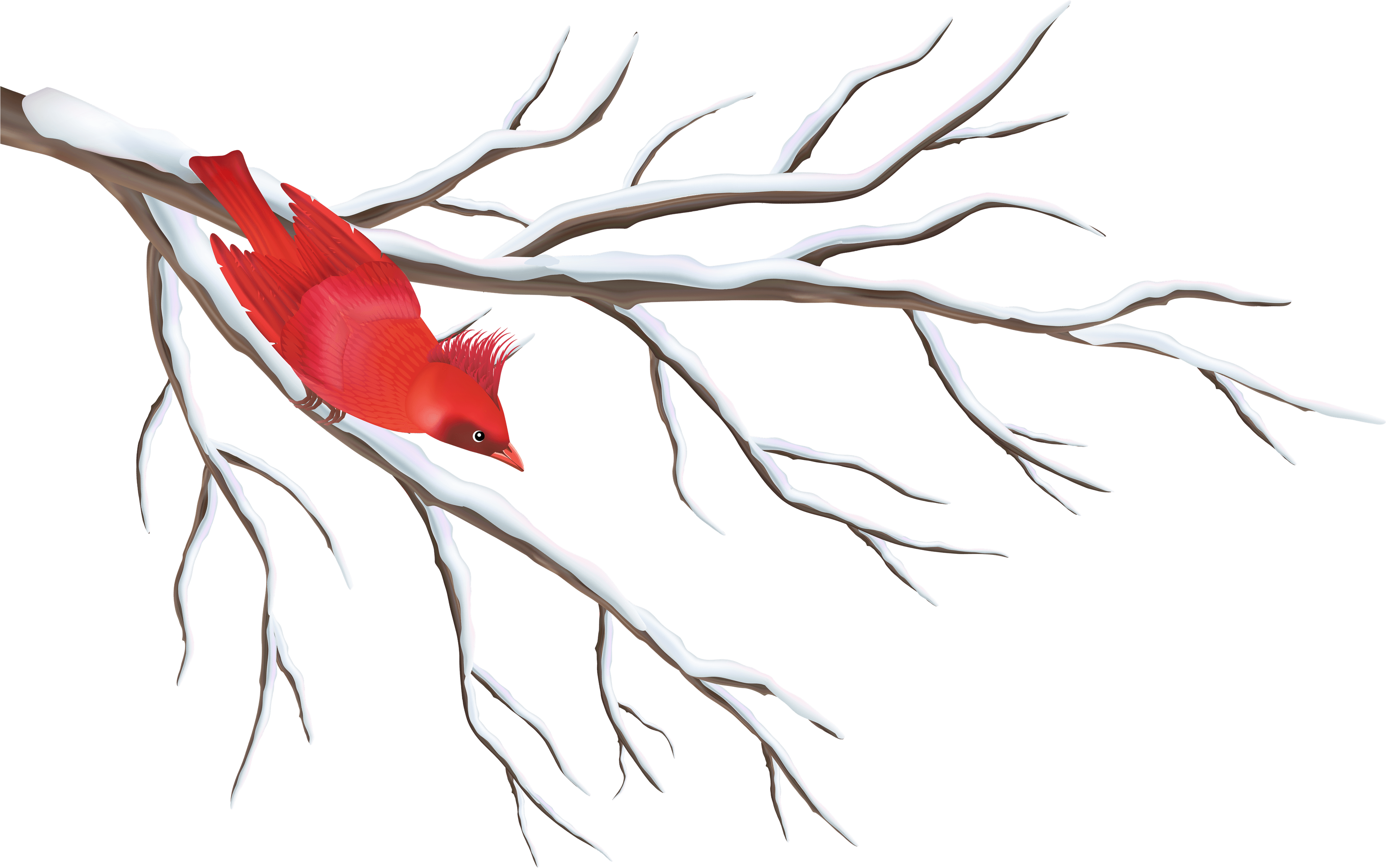 Winter Branch With Bird Png Clipart Image - Winter Branches Clip Art Transparent PNG - 5000x3294 - Free Download on - Transparent PNG Free Download | PNGio