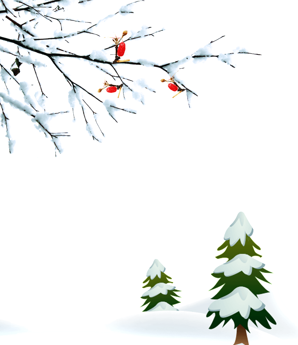 Winter Branches Snow Png - Winter Transparent PNG - 1024x1185 - Free Download on - Transparent PNG Free Download | PNGio