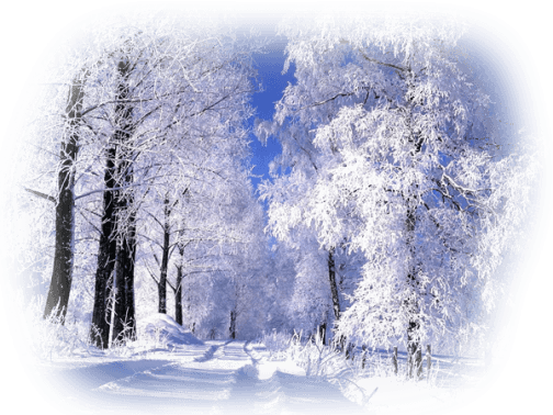 Realistic Winter Landscapes By Evgeniy Karlovich - Saskatoon Saskatchewan Winter Transparent PNG - 504x378 - Free Download on - Transparent PNG Free Download | PNGio