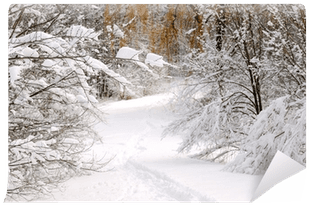 Path In Winter Forest After A Snowfall Wall Mural • - Winter Transparent PNG - 400x400 - Free Download on - Transparent PNG Free Download | PNGio