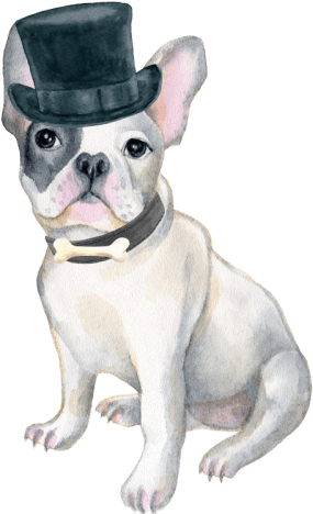 Art Print: Dog In Red Winter Hat Transparent PNG - 417x500 - Free Download on - Transparent PNG Free Download | PNGio