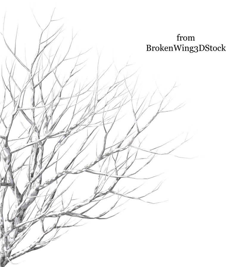 Cut Out Tree Winter Png Transparent PNG - 900x900 - Free Download on - Transparent PNG Free Download | PNGio