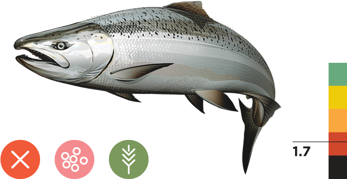 Central Valley Spring-run Chinook Salmon - Sacramento River Winter Run Chinook Salmon Transparent PNG - 700x373 - Free Download on - Transparent PNG Free Download | PNGio