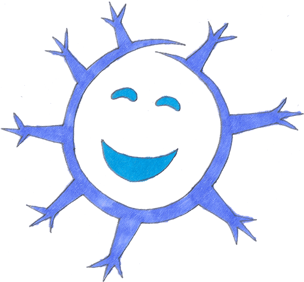 Wintersnowflake - Winter Clip Art Transparent PNG - 1000x931 - Free Download on - Transparent PNG Free Download | PNGio