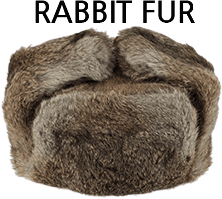 Prev - Winter Transparent PNG - 460x421 - Free Download on - Transparent PNG Free Download | PNGio