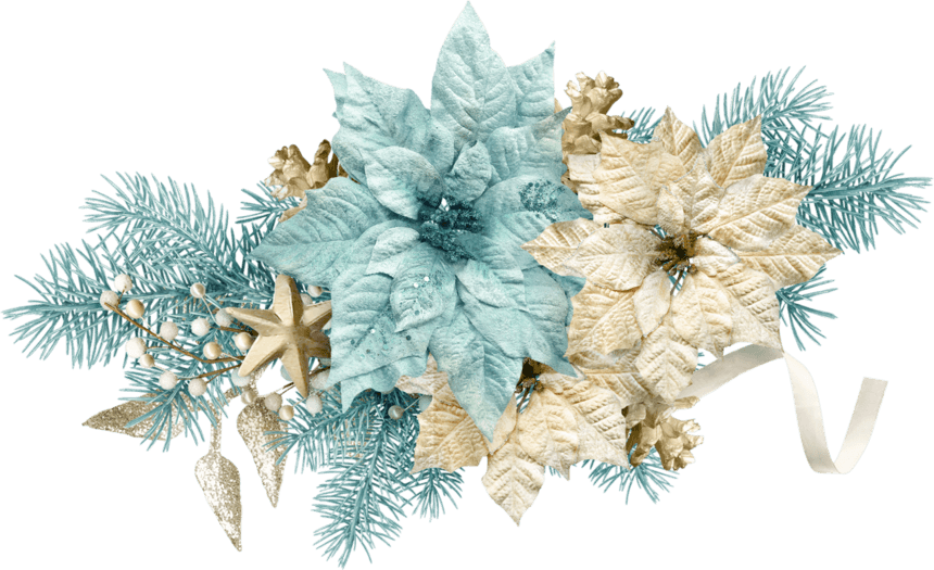 Publicat De Eu Ciresica La - Blauer Winter-tagesdamast Danken Ihnen Grußkarte Transparent PNG - 860x525 - Free Download on - Transparent PNG Free Download | PNGio