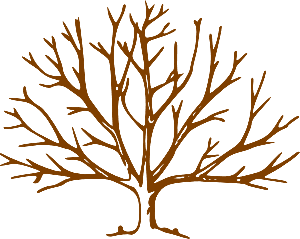 Tree Clip Art At Clker - Draw A Winter Tree Transparent PNG - 600x477 - Free Download on - Transparent PNG Free Download | PNGio